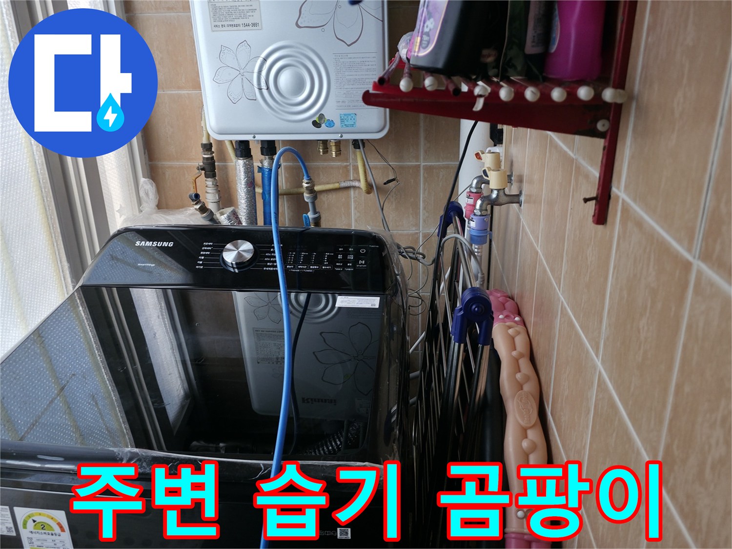 세탁기 주변 습기 및 곰팡이 - 관악구 누수 - 습기 제거 작업