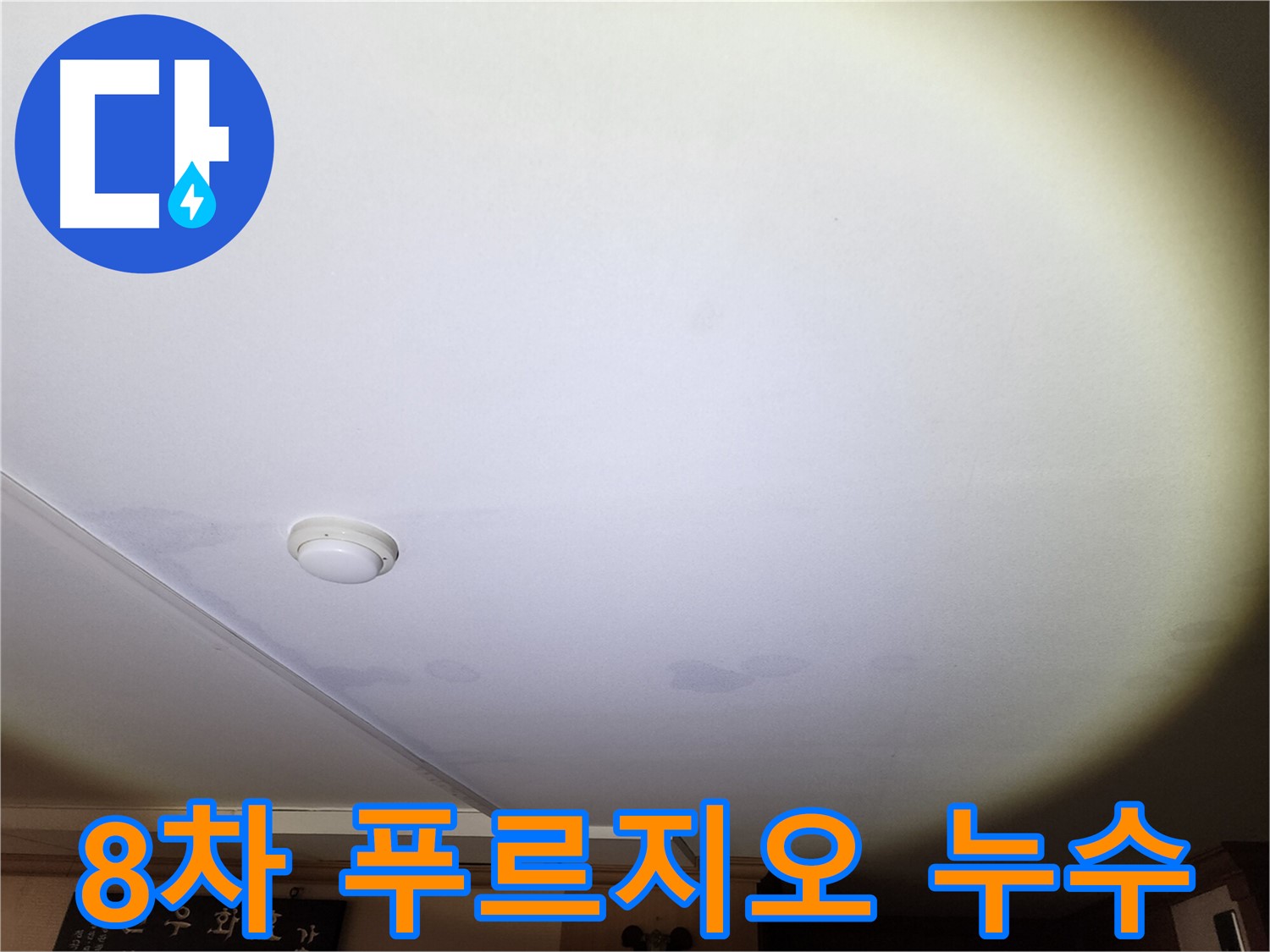 팽창한 천장 벽지와 물방울 맺힘이 확인된 안산 푸르지오 아파트 누수 현장 - 넓은 누수 범위로 정밀 탐지 및 맞춤 공사 필요
