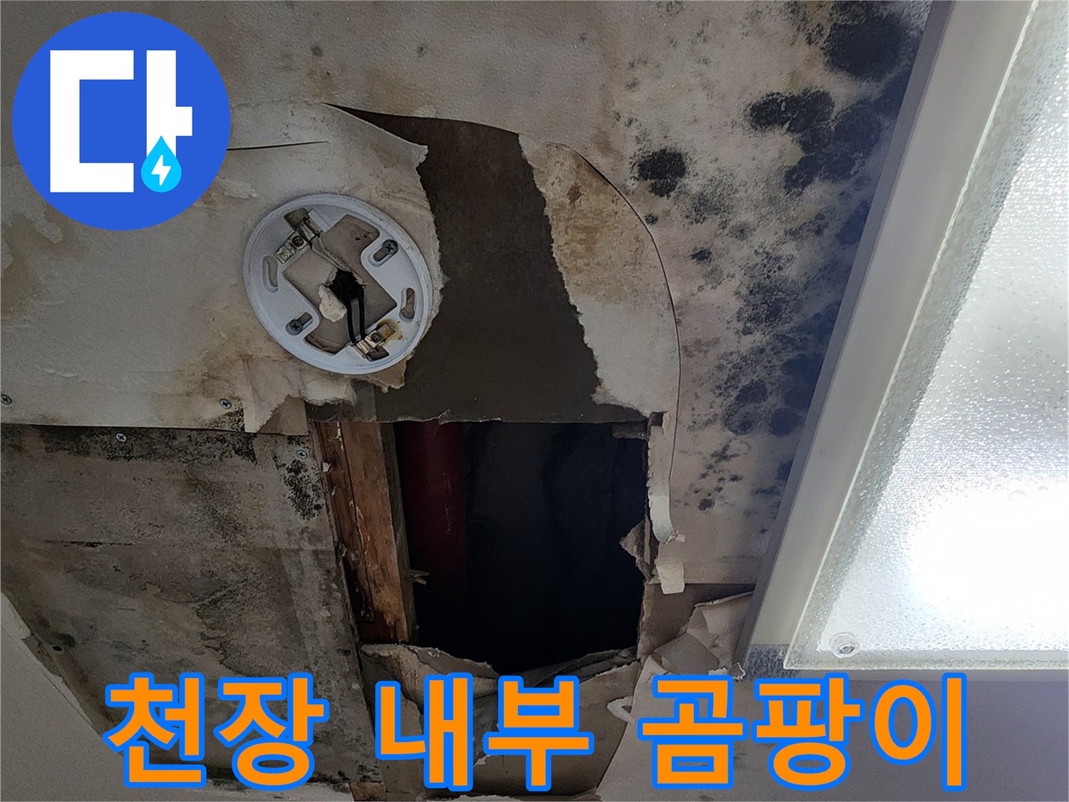 누수로 오염된 천장-석고보드 부식 및 곰팡이 발생