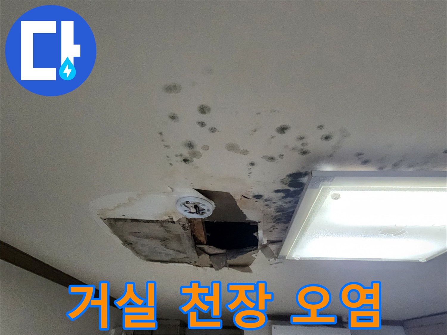 물 자국과 곰팡이가 심하게 발생한 아파트 거실 천장면