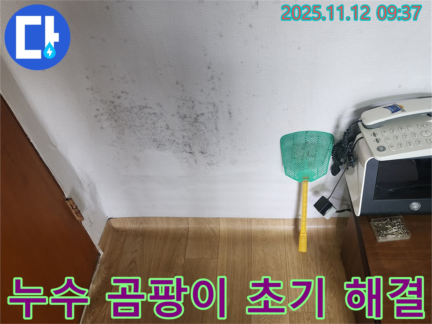 벽 곰팡이 - 누수탐지로 곰팡이 문제를 초기에 해결하세요!