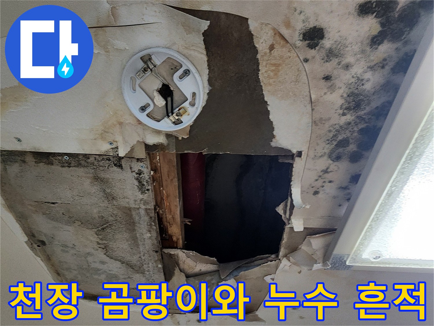 아파트-천장-마감재-부근의-검은-곰팡이와-물자국-상태