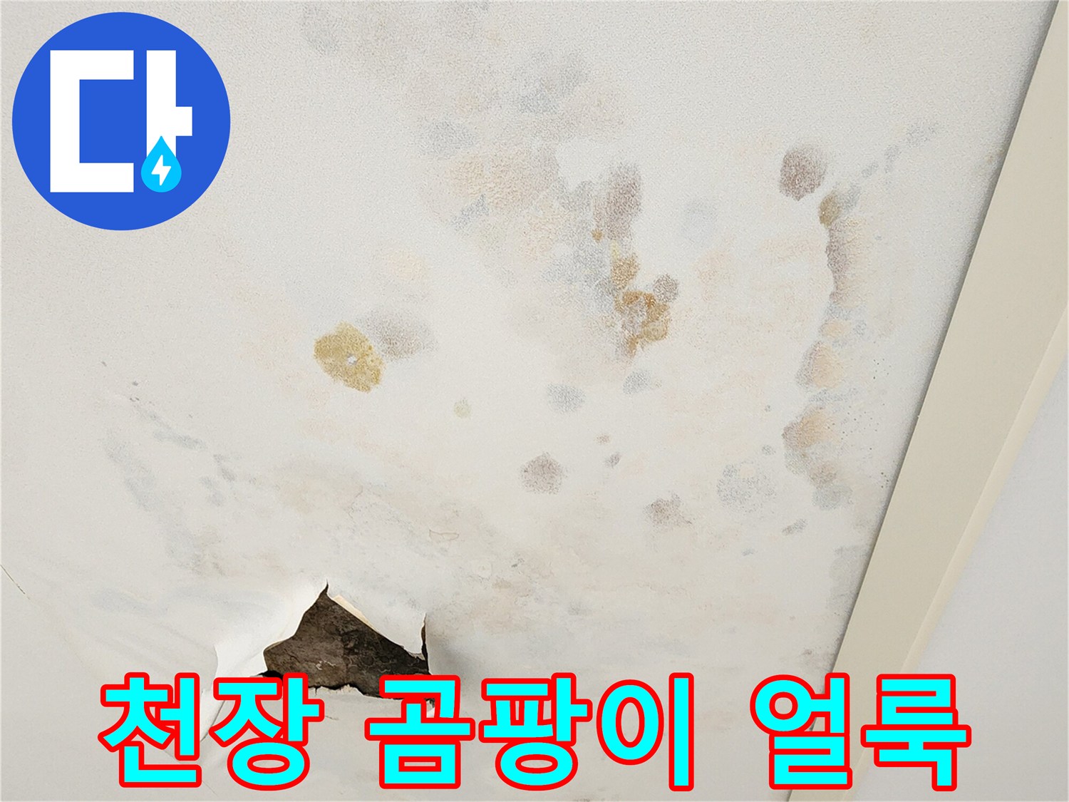 아파트 천장 마감재에 발생한 누수 흔적과 곰팡이 상태