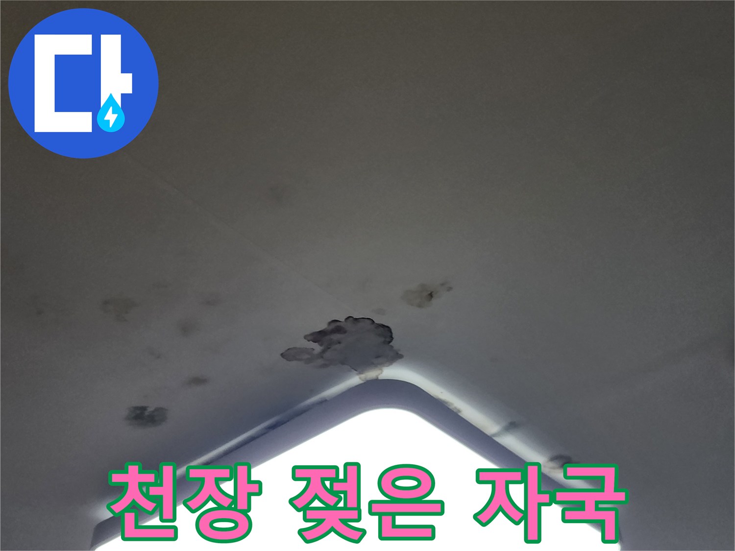 조명 테두리를 따라 발생한 곰팡이와 얼룩