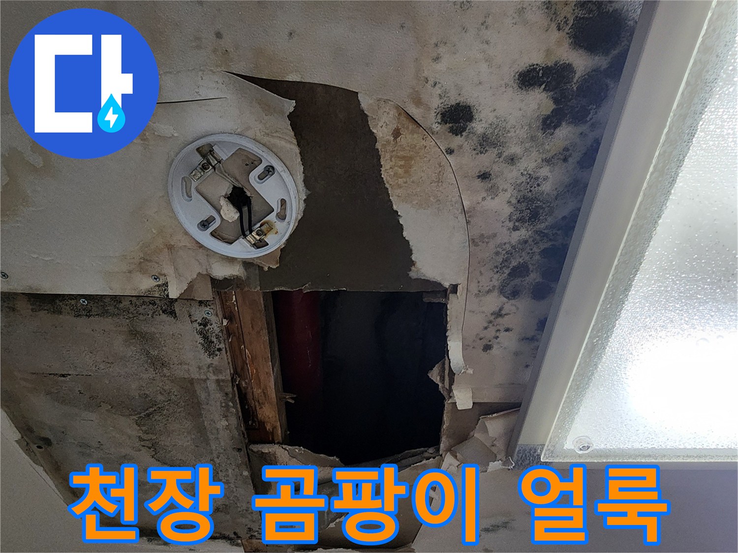 천장 마감재-누수로 인한 곰팡이와 습기 번짐 현상