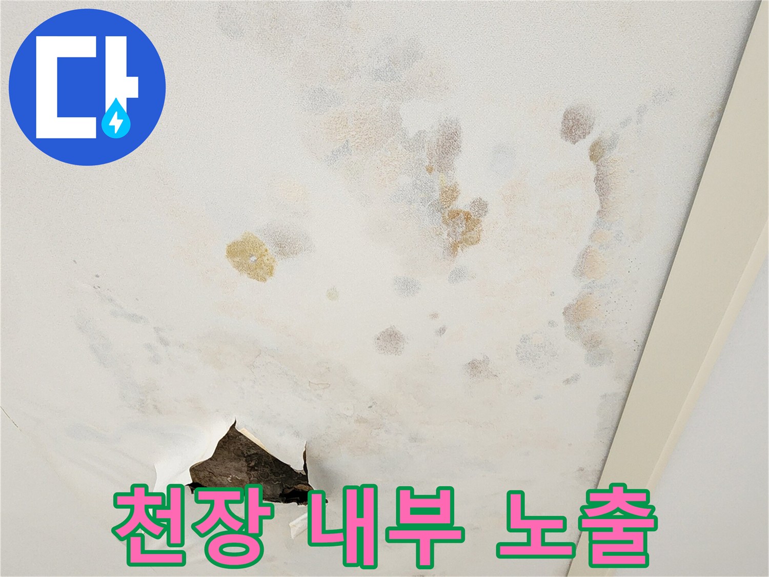 천장-절개-후-노출된-내부-구조물-및-오염-상태