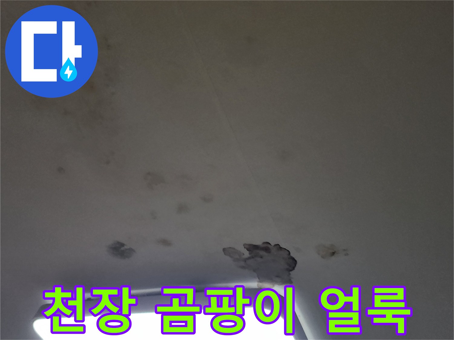 천장 조명 주변의 물 얼룩과 곰팡이가 있는 사진