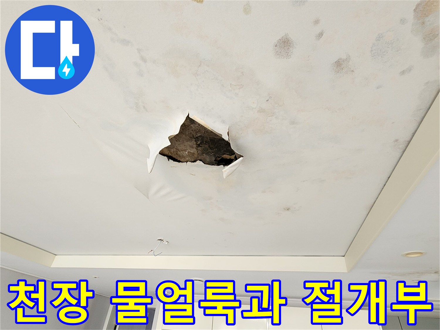 포천 무봉리 아파트-천장 마감재의 누수 흔적과 절개된 부위