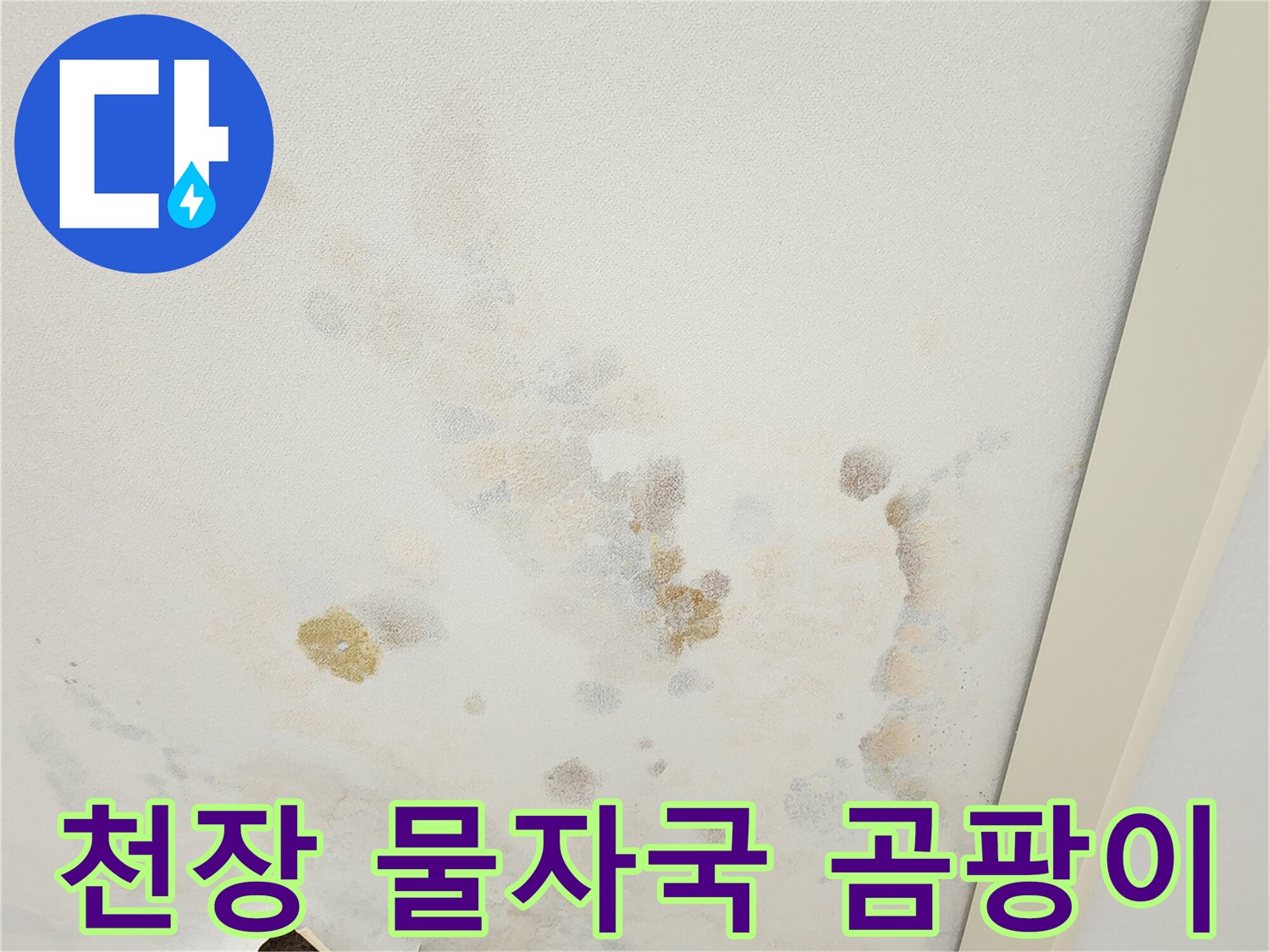 포천 소흘읍 아파트 천장 벽면의 누수 흔적과 곰팡이 상태