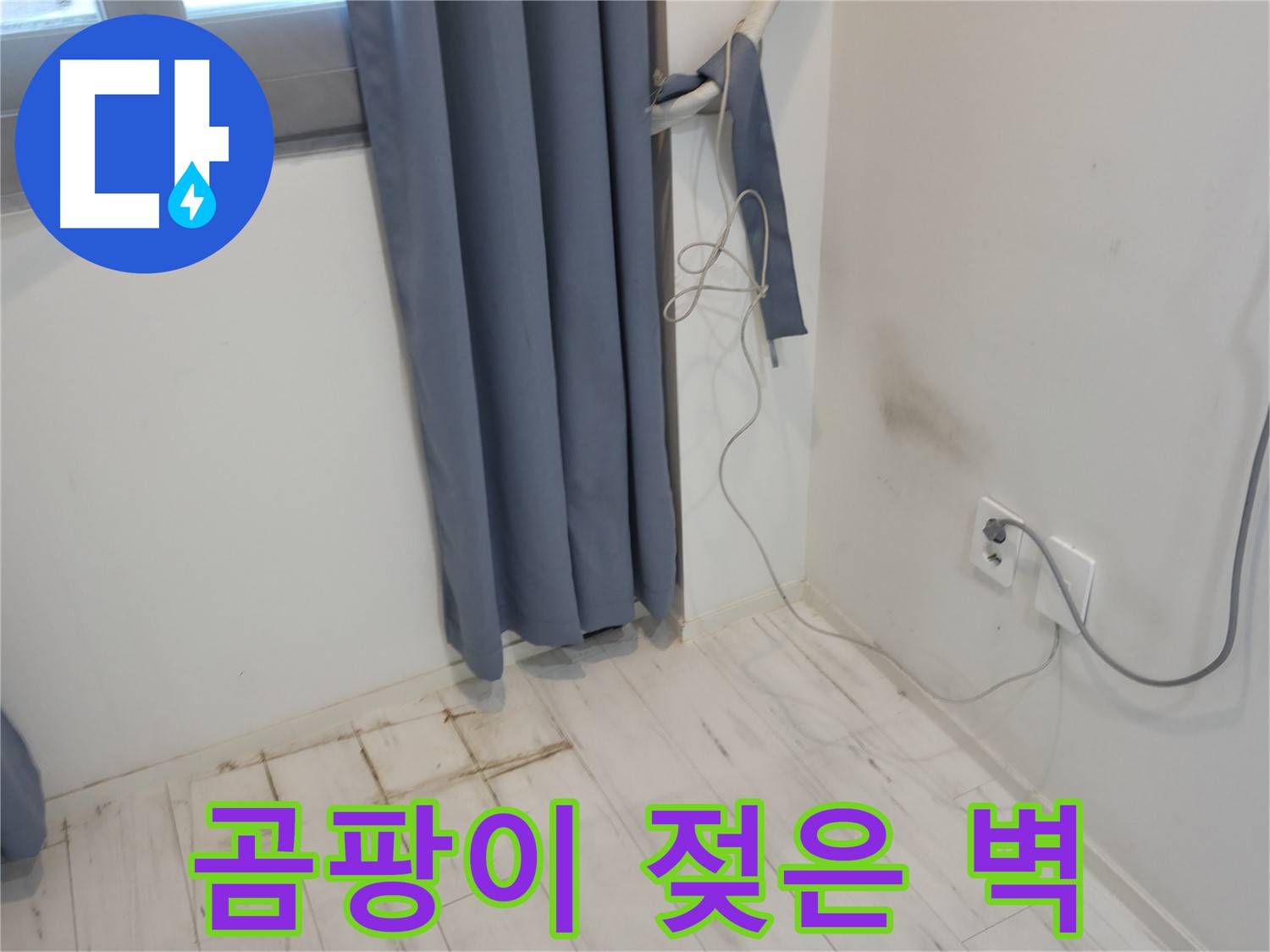 관악구 누수 - 곰팡이와 젖은 벽 문제 - 누수 해결 위한 전문 기술