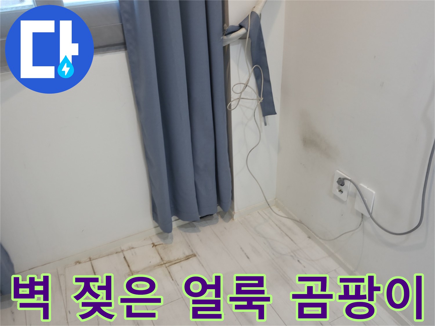 관악구 누수 - 벽 젖은 얼룩과 곰팡이 - 전문 기술