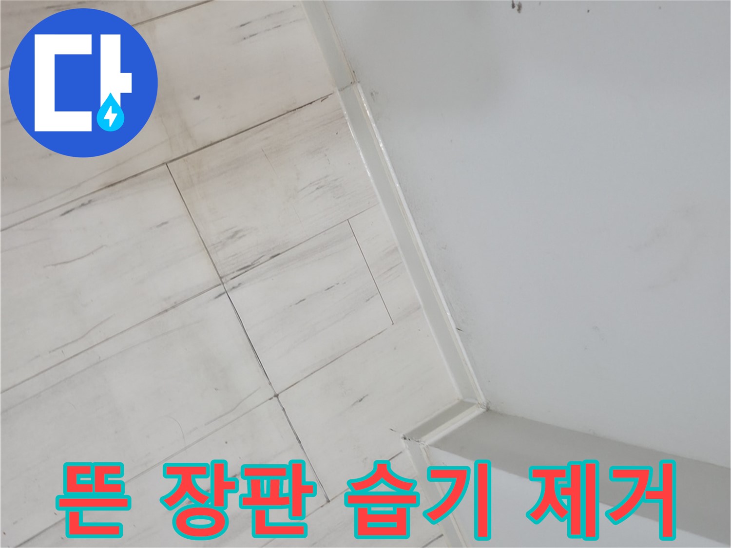 관악구 뜬 장판 - 습기 누수 해결