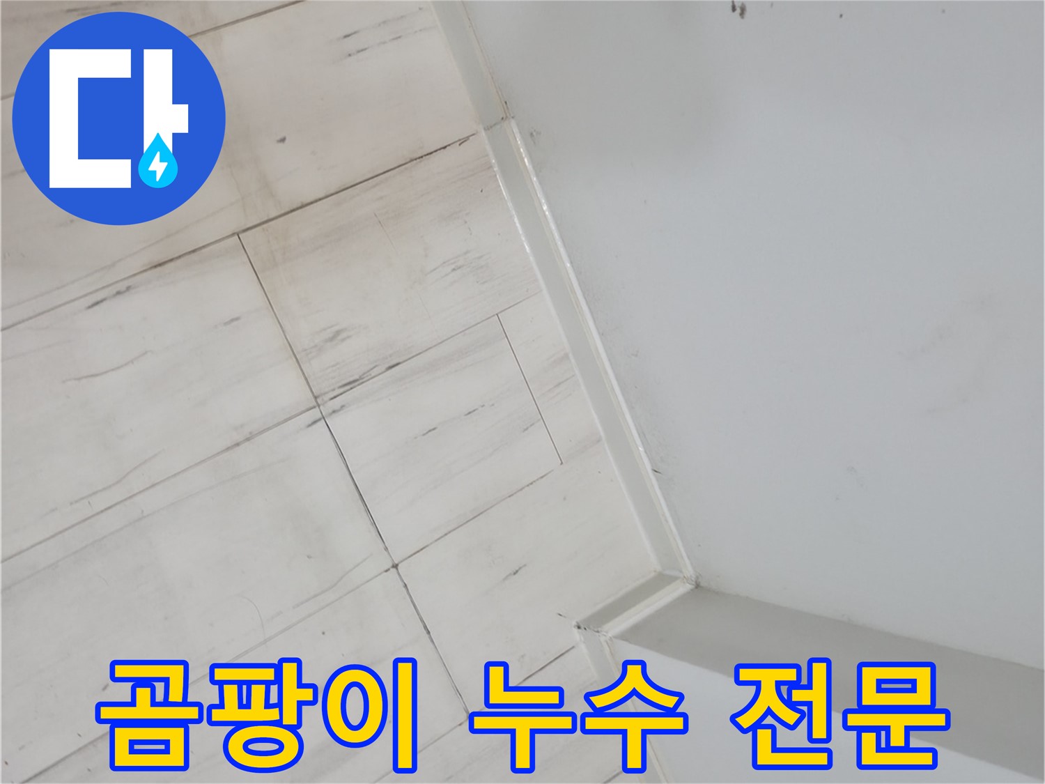 관악구 벽 모서리 곰팡이 누수 전문가 시공