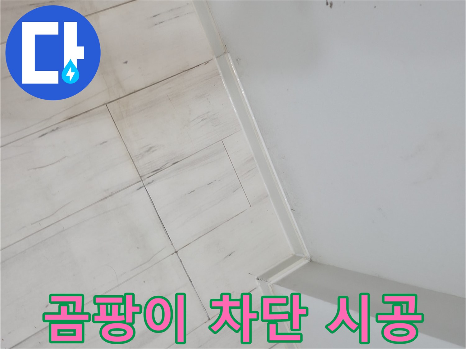 관악구 벽 하단 곰팡이 누수 차단 시공
