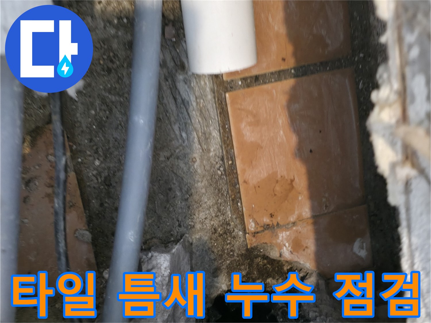 관악구 신림동 누수 - 타일 틈새 누수 가능성 꼼꼼하게 점검 중