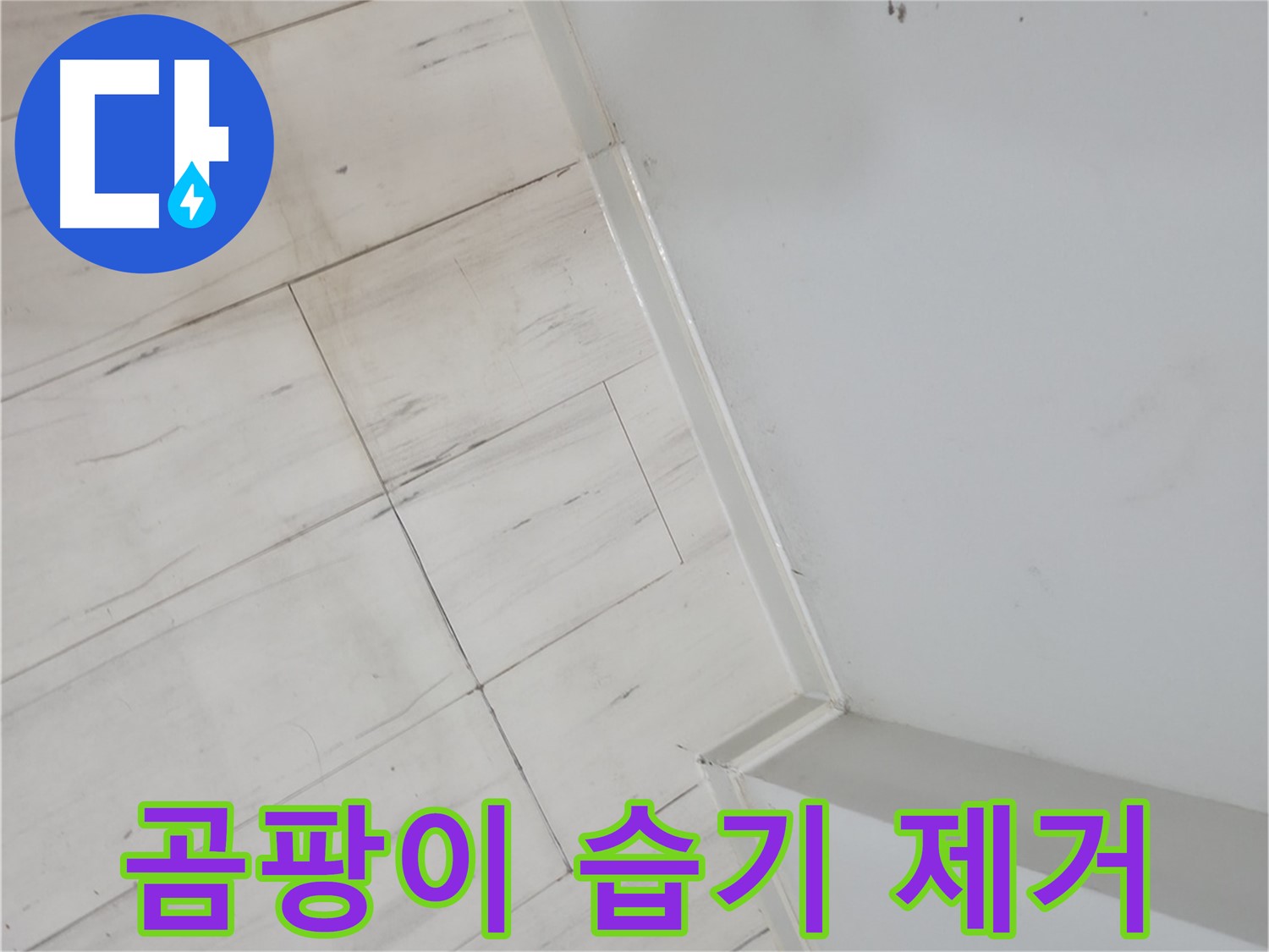 관악구 실리콘 곰팡이 - 습기 누수 해결
