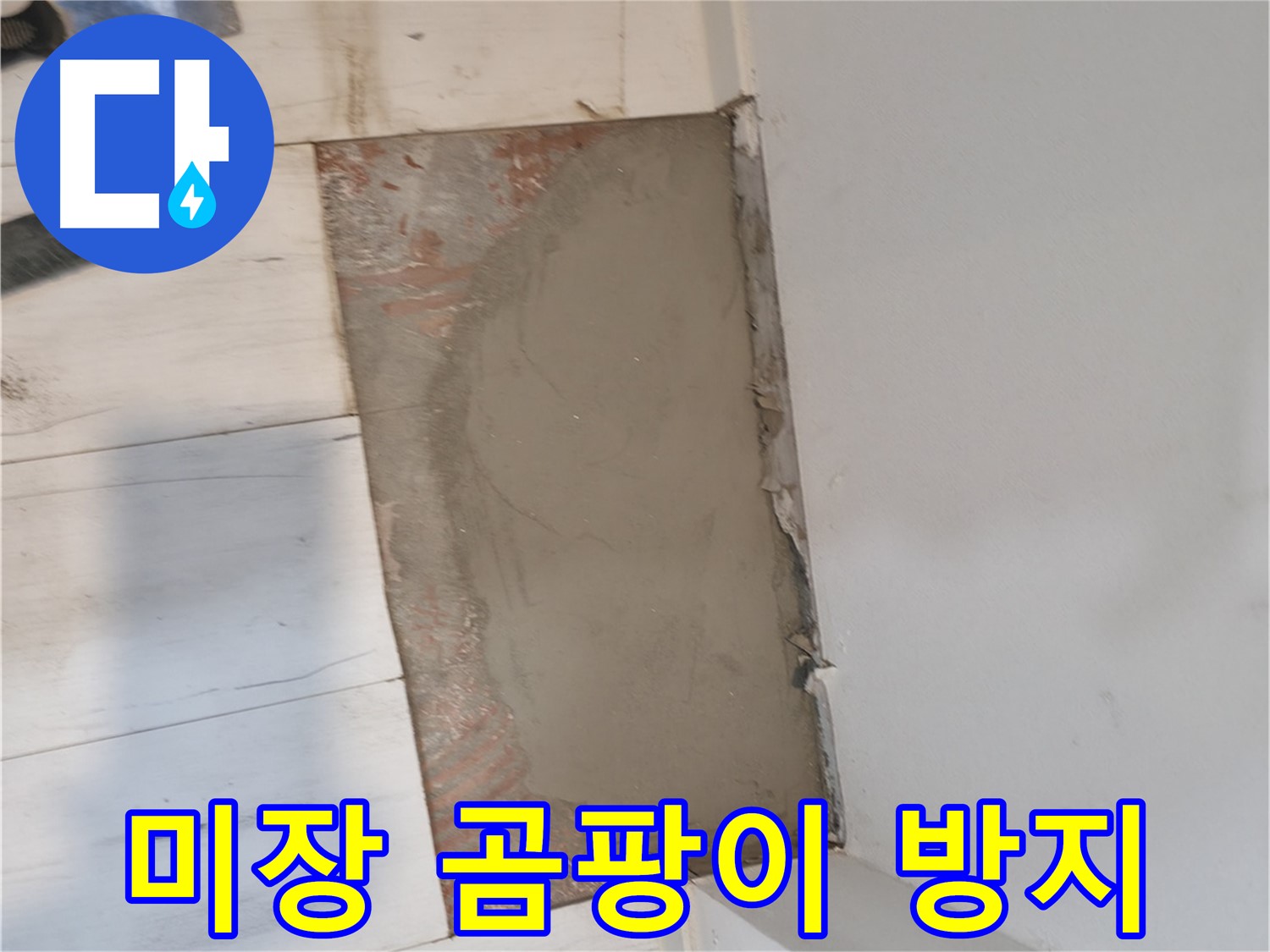 시멘트 미장 후 - 곰팡이 방지 시공!