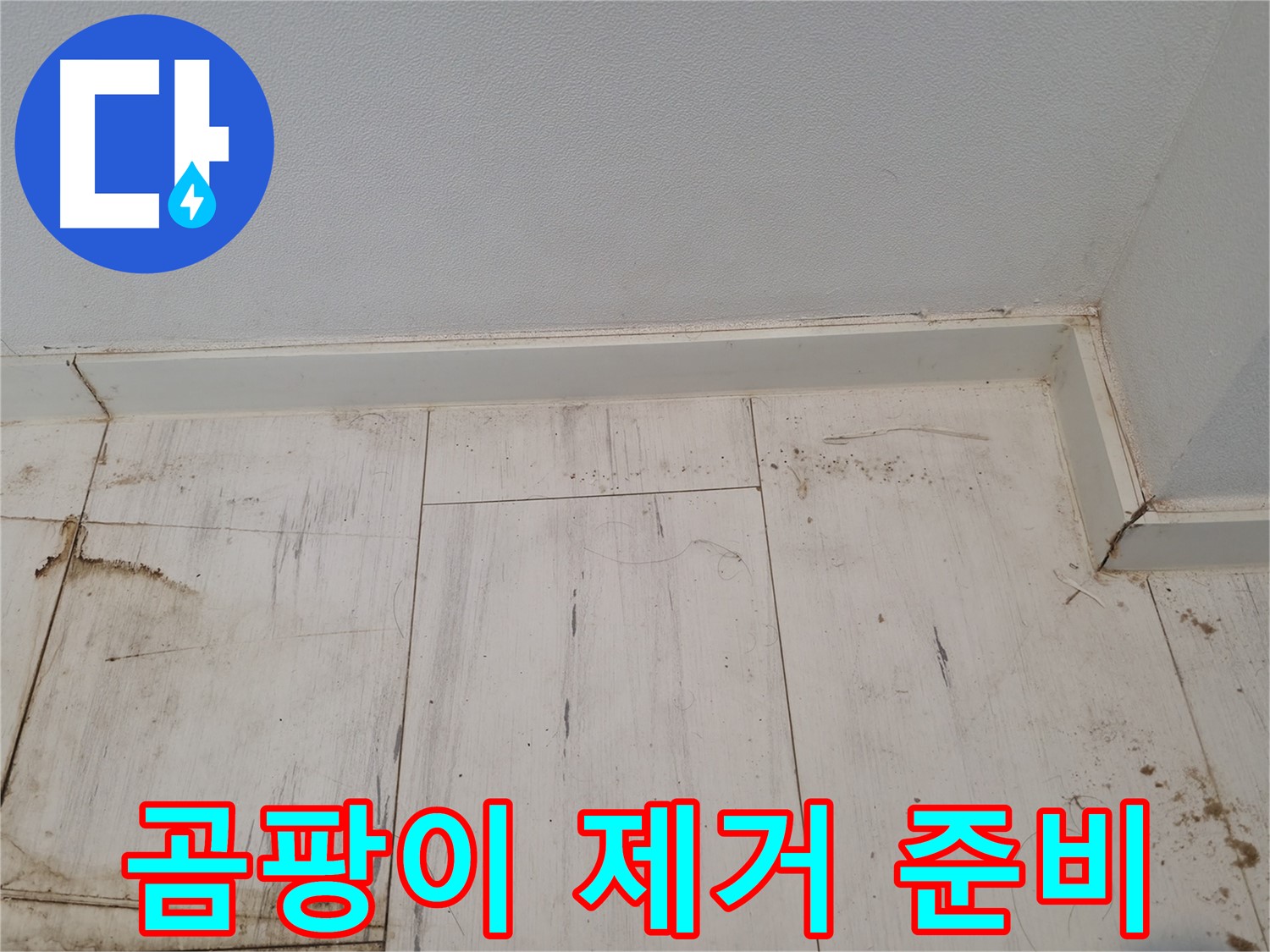 신림동 누수 - 마루 곰팡이 제거 준비 - 긴급 해결