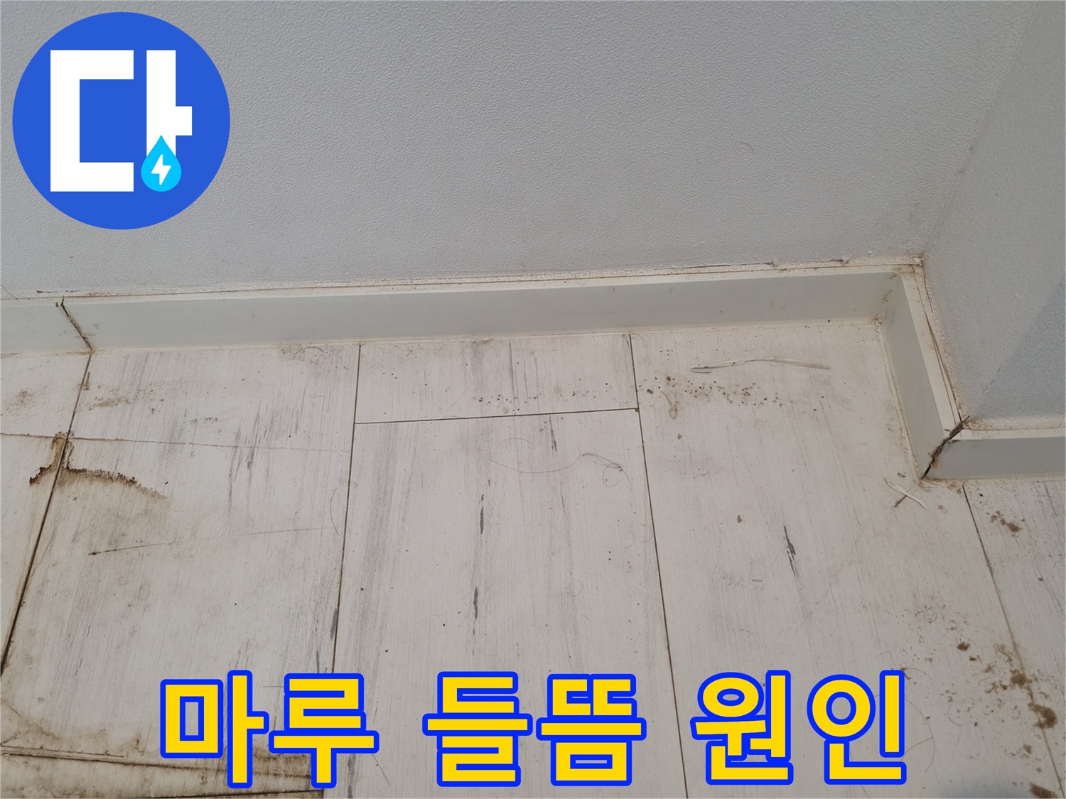 신림동 누수 - 마루 들뜸 원인 - 습기 or 누수?