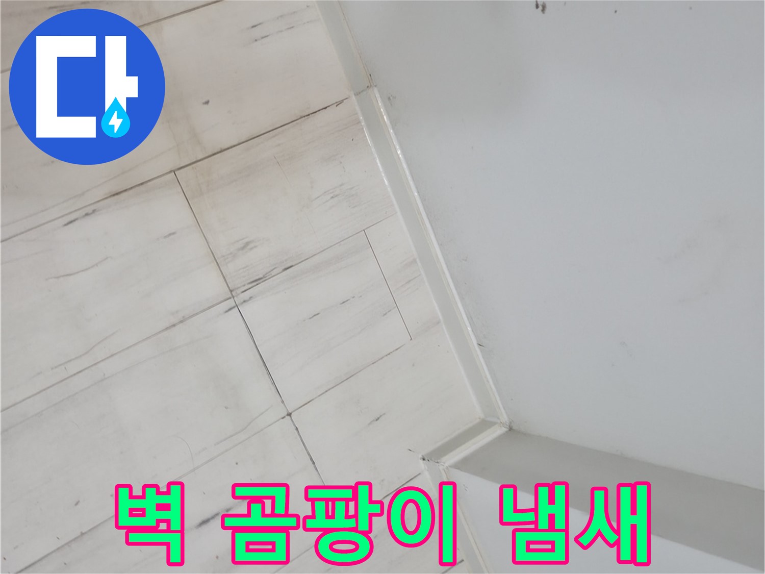 신림동 벽 누수 곰팡이 냄새 제거