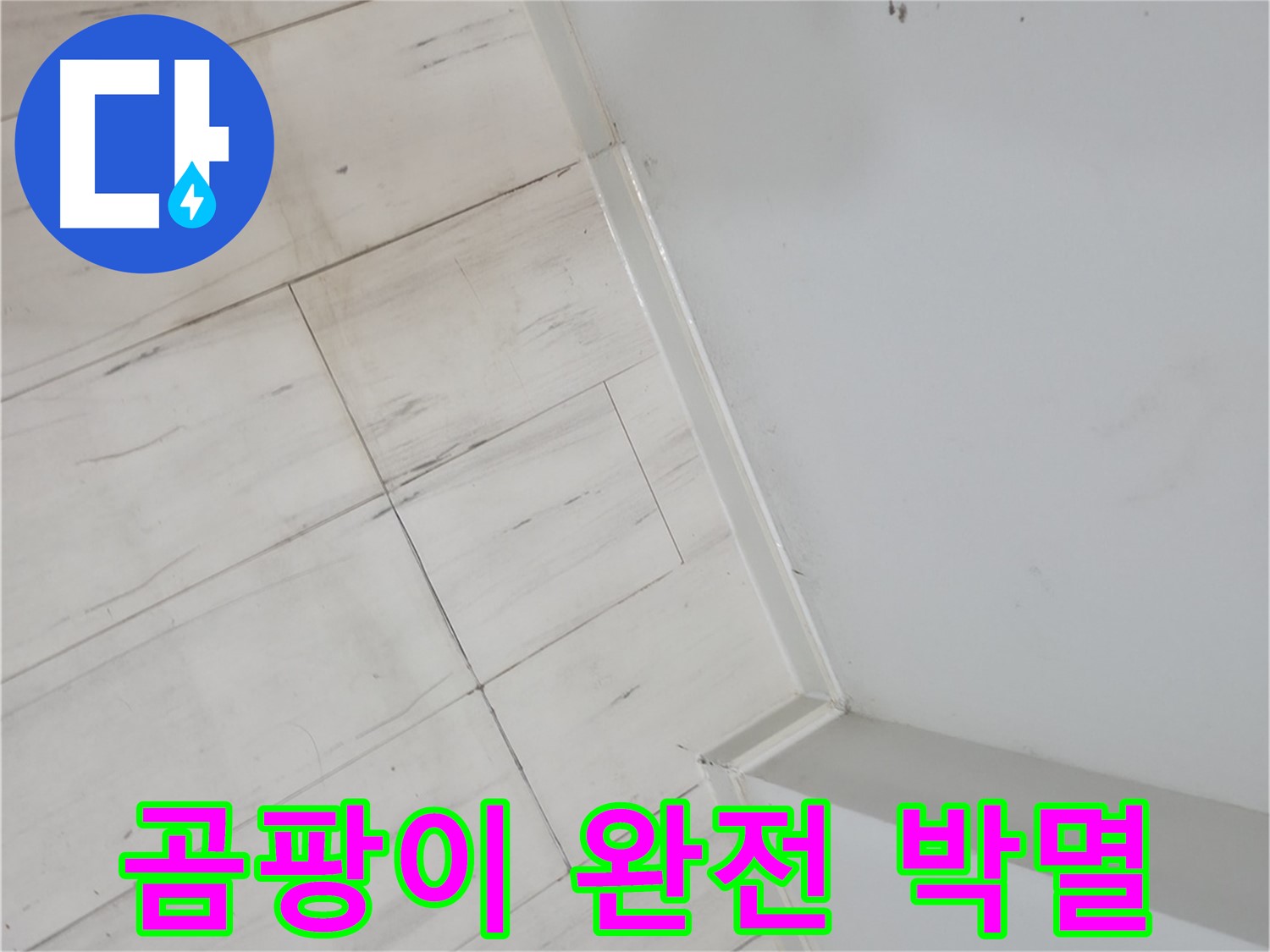 신림동 빌라 장판 밑 곰팡이 누수 해결 작업