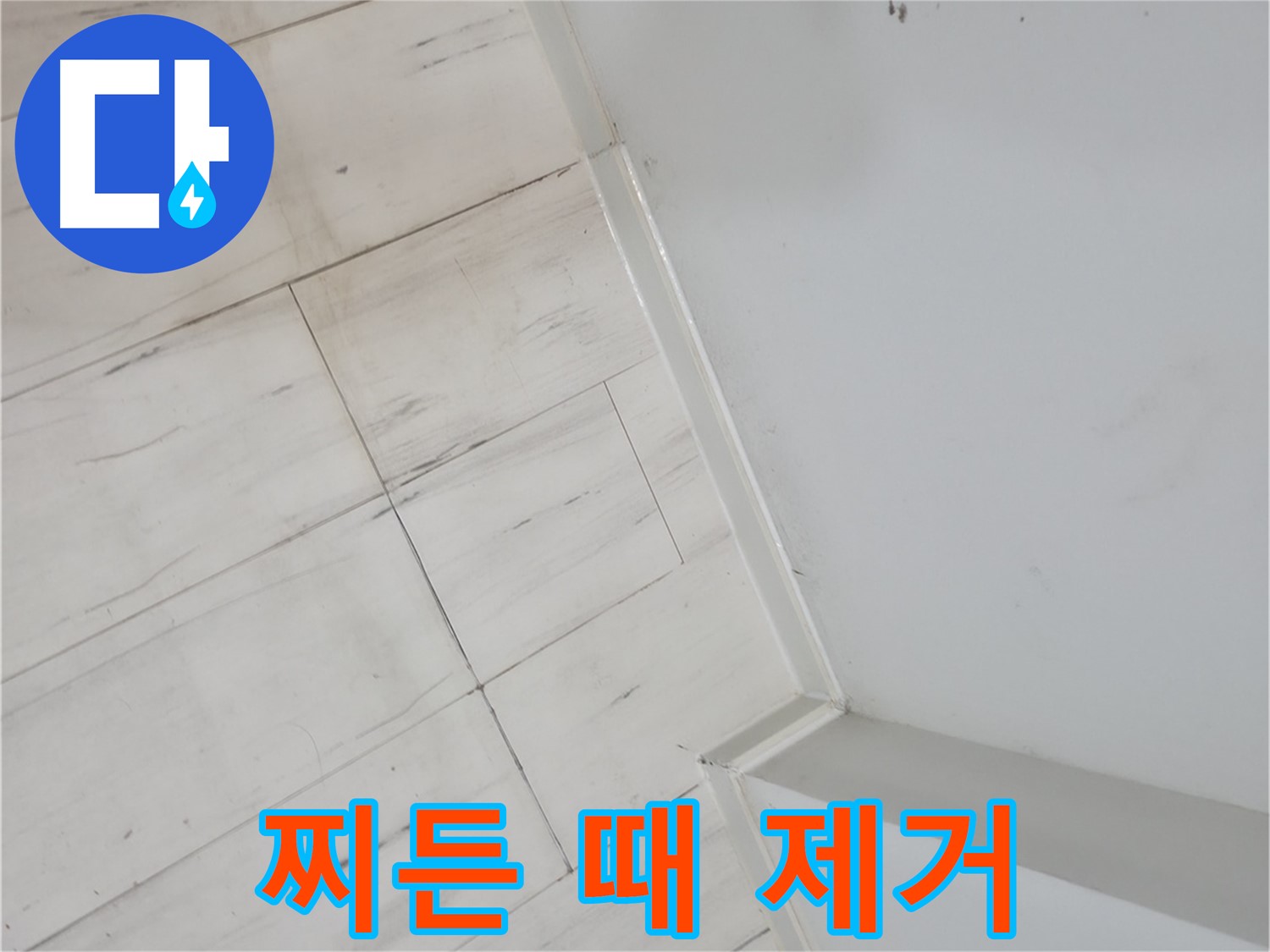 신림동 빌라 장판 찌든 때 누수 해결 작업