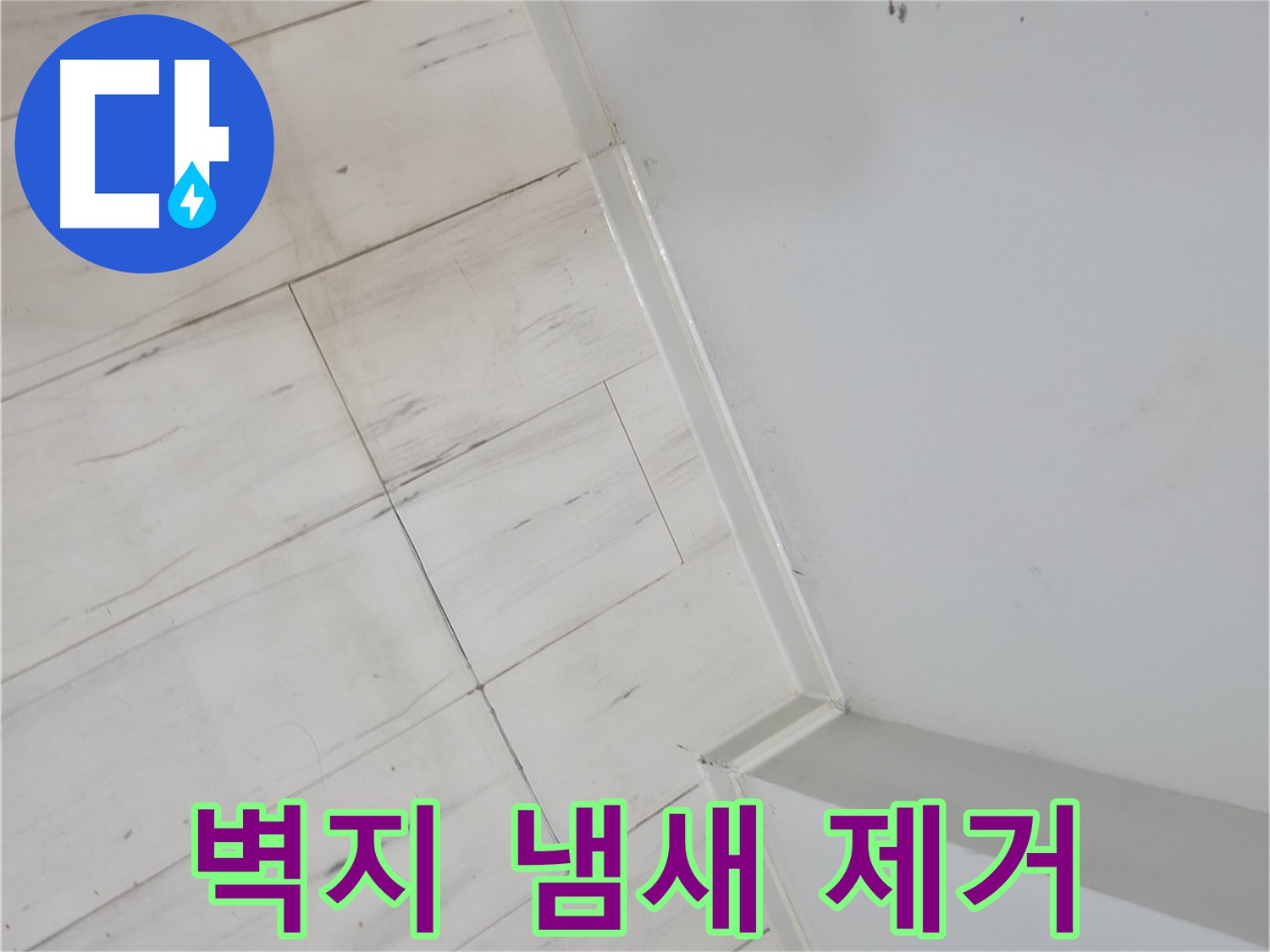 신림동 젖은 벽지 - 곰팡이 냄새 제거