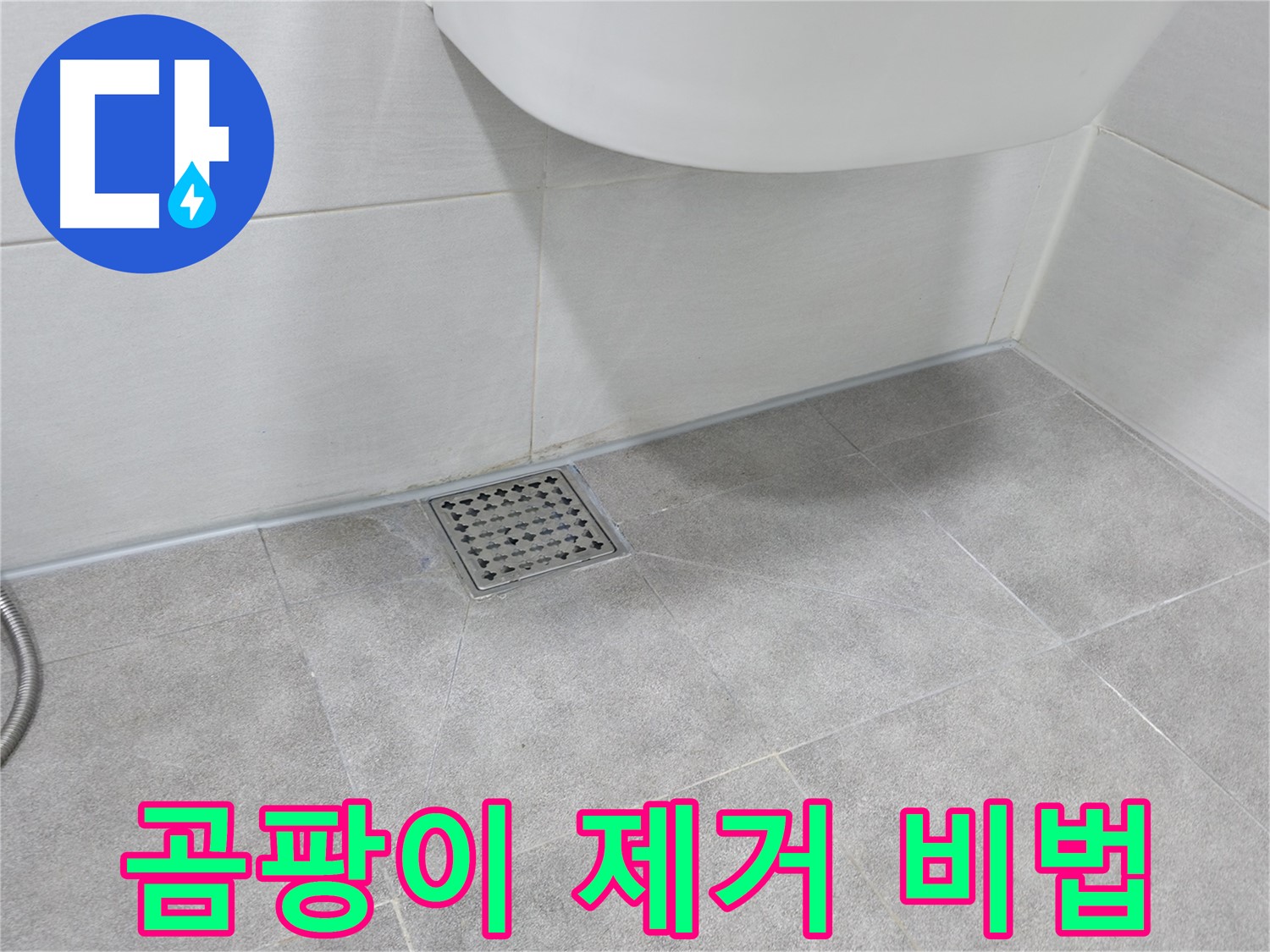 욕실 곰팡이 - 곰팡이 제거 비법 공개