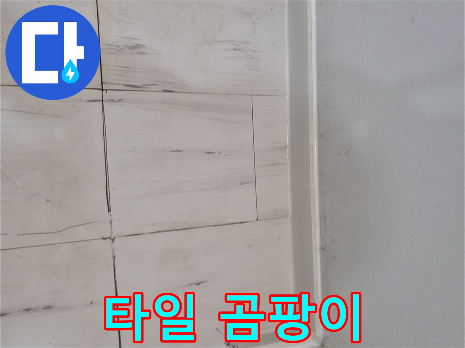 타일 틈새 - 곰팡이 누수 의심