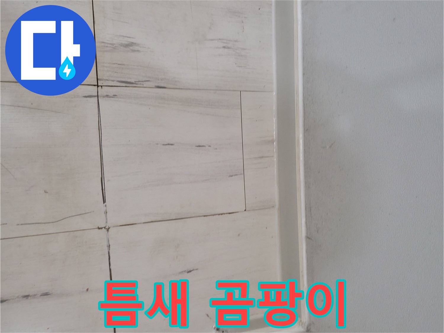 틈새 곰팡이 - 숨겨진 누수