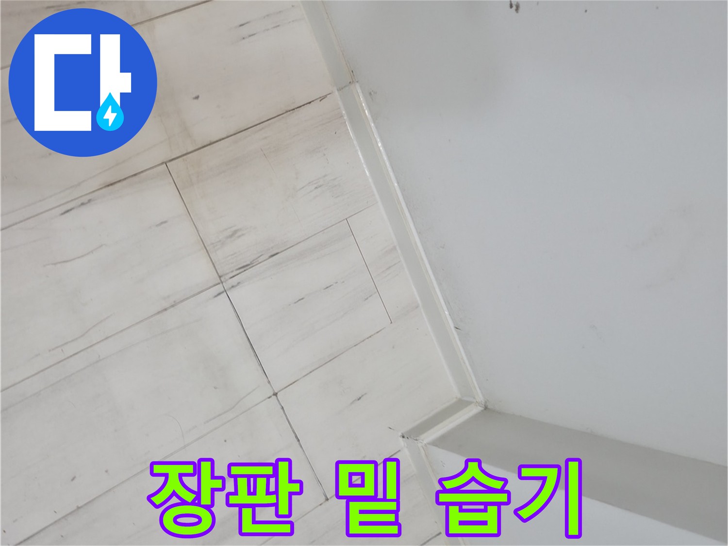신림동 장판 밑 습기 누수 해결 현장