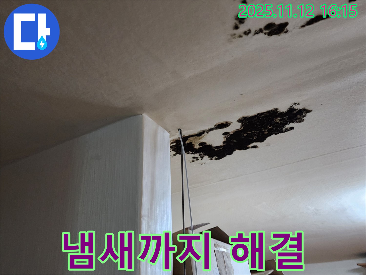 곰팡이 핀 천장 - 곰팡이 냄새 제거 - 포천 군내면 구읍리 누수