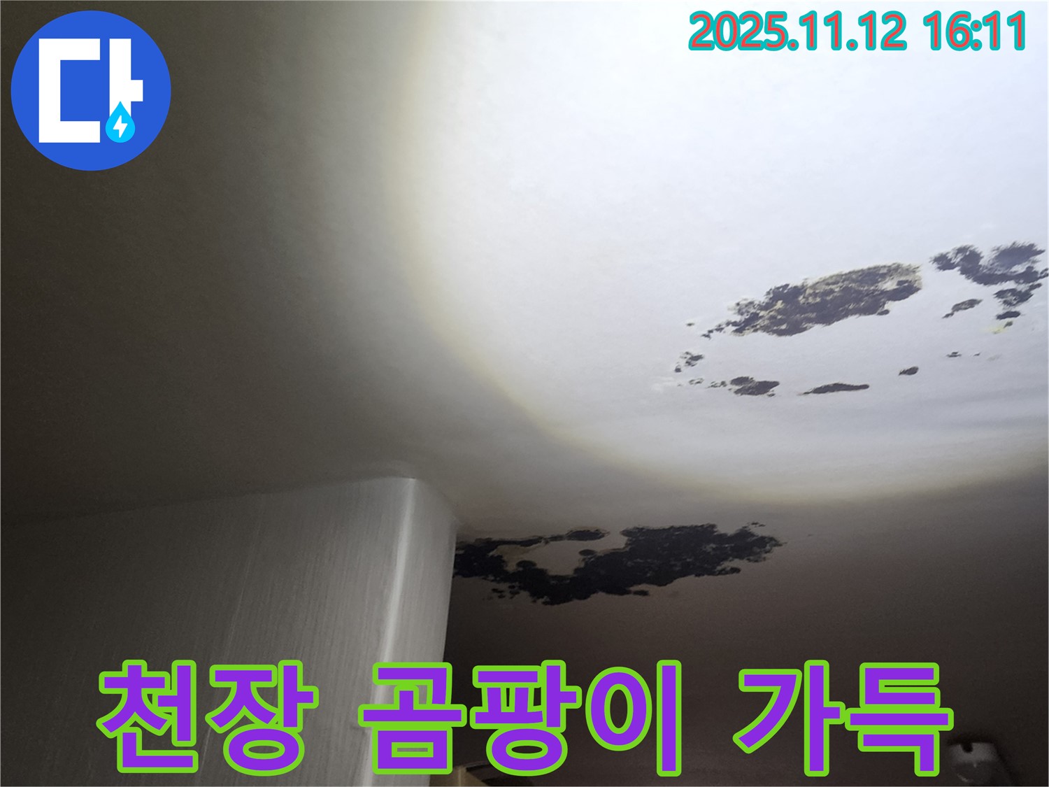 구읍리 누수 - 천장 전체에 가득한 곰팡이