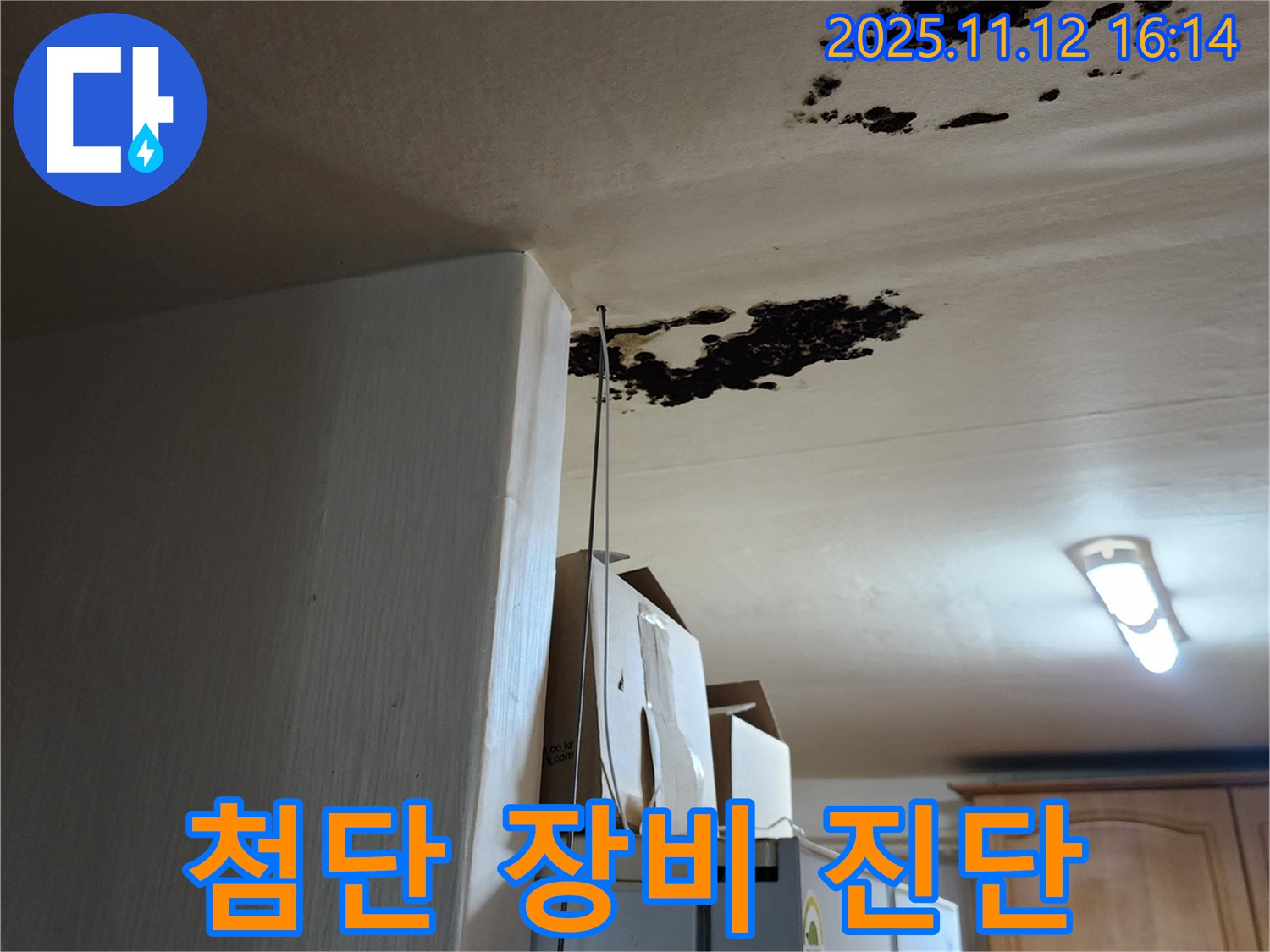 군내면 구읍리 누수 - 천장 곰팡이 완벽 제거 및 첨단 장비 누수 진단