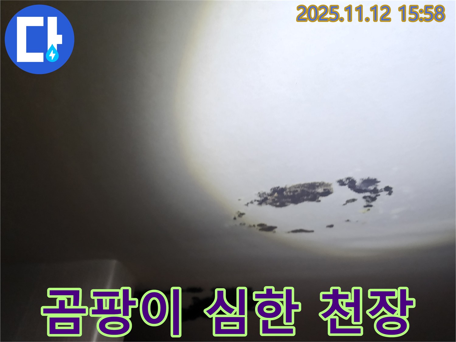 용정리 - 곰팡이가 심하게 핀 천장 누수 현장
