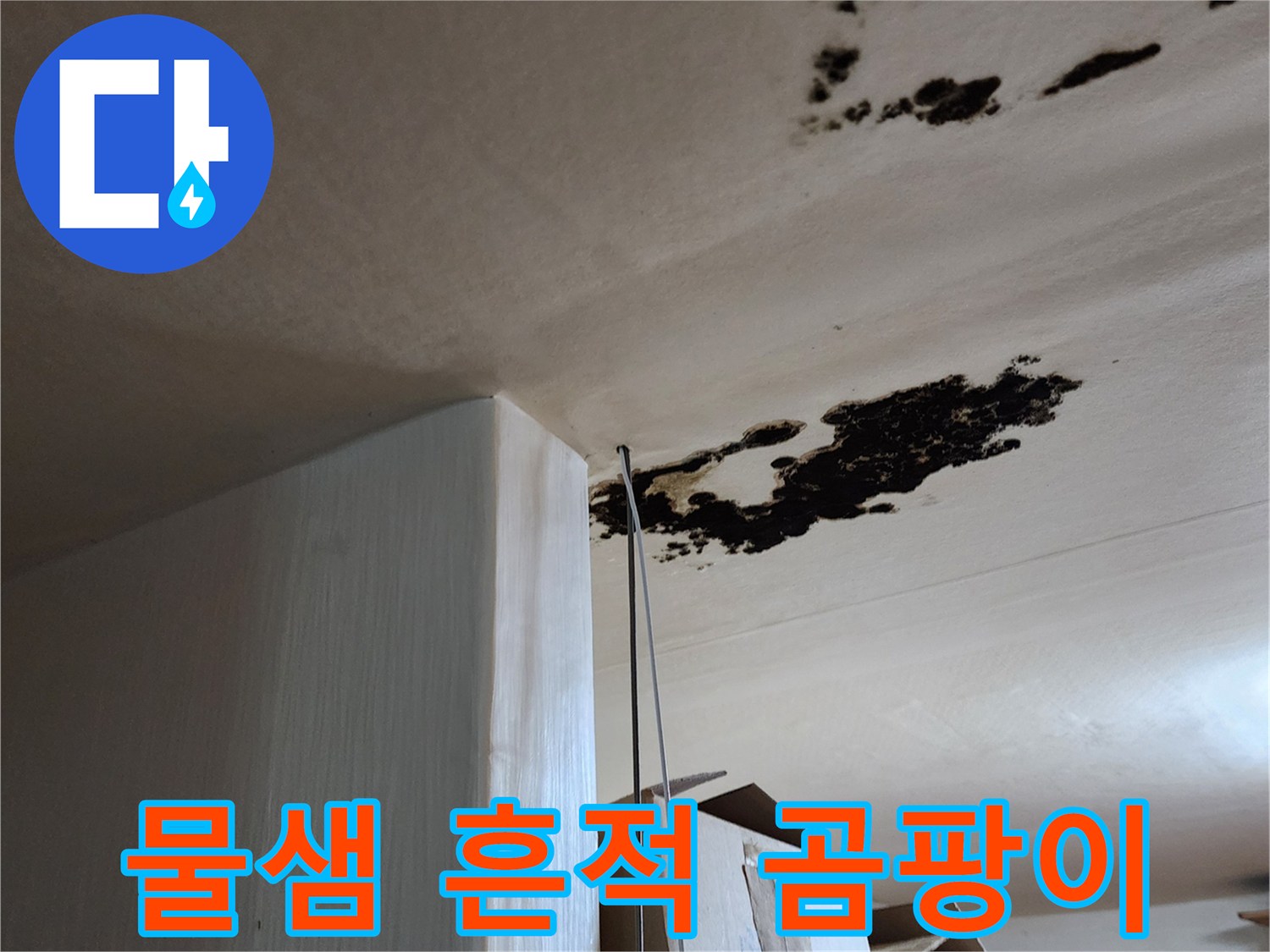 천장 면에 나타난 습기 침투와 곰팡이 오염 부위