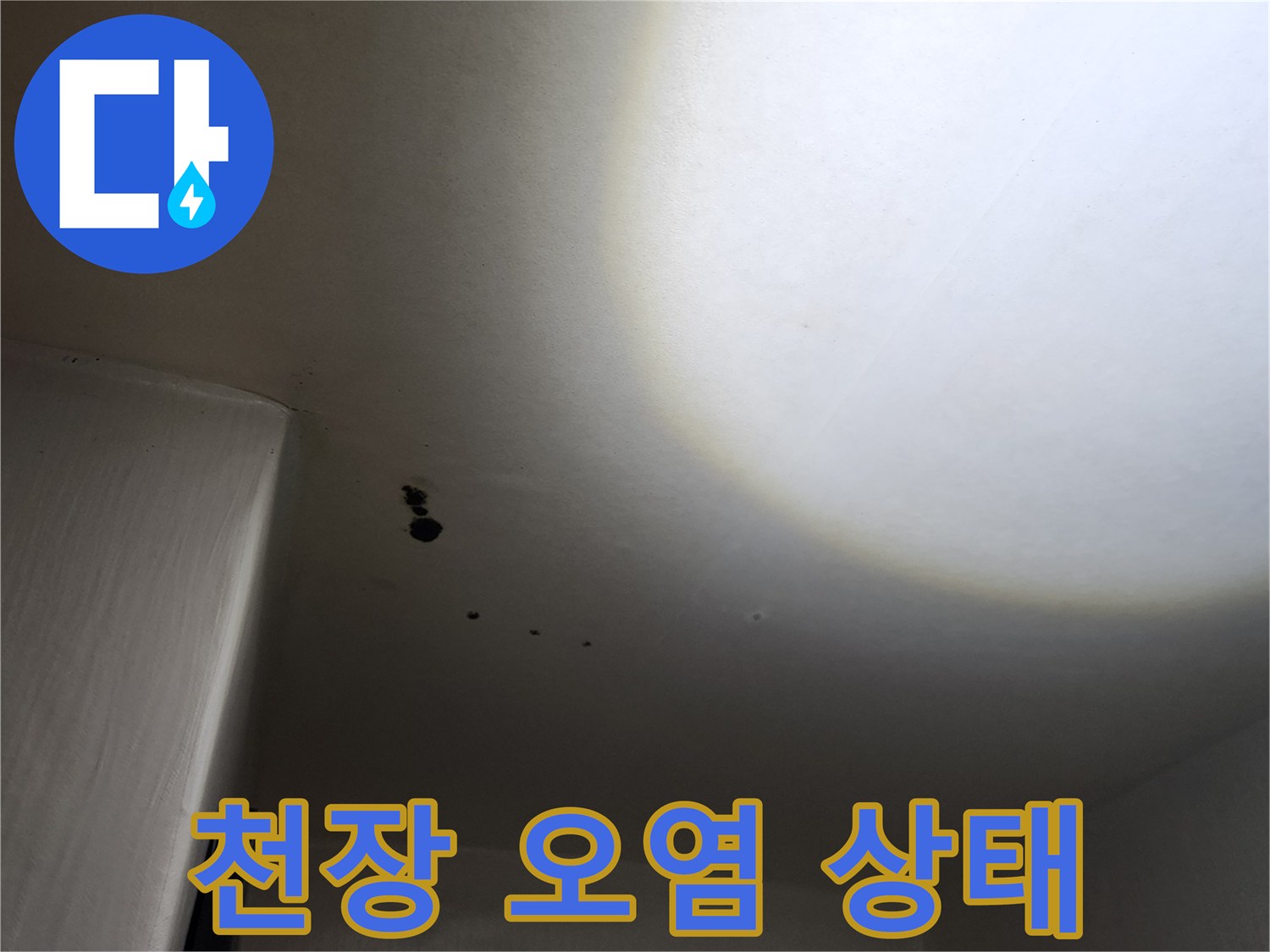 포천 구읍리 누수 현장-천장에 발생한 검은 곰팡이와 얼룩