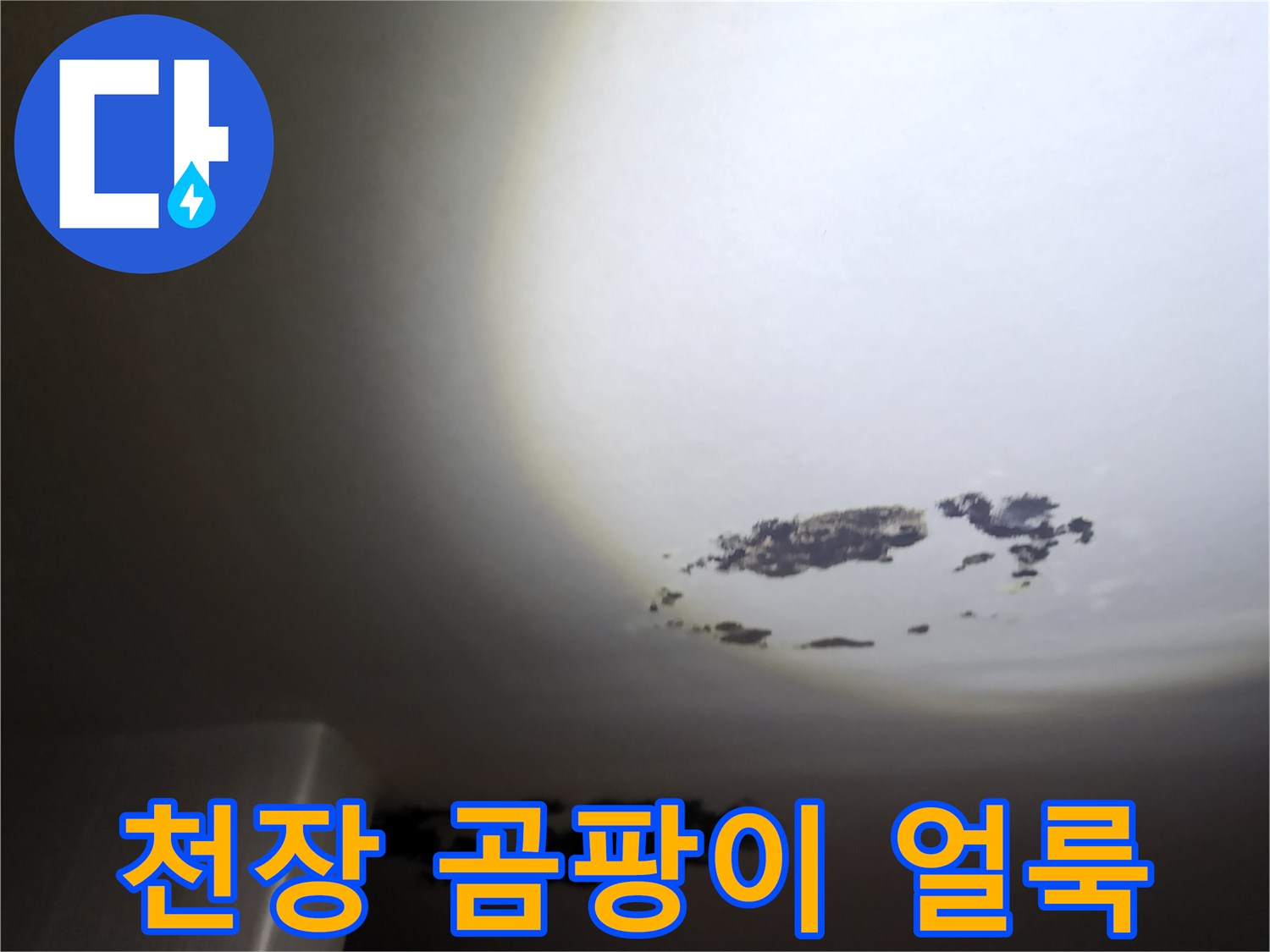 포천 구읍리 주방 천장에 발생한 검은색 곰팡이와 물자국 현상