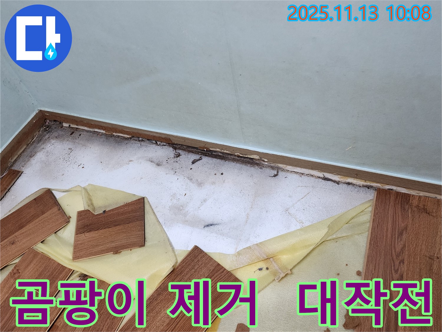포천 누수 - 장판 밑 곰팡이 제거 대작전 - 쾌적한 우리 집을 만드는 과정을 담았습니다.