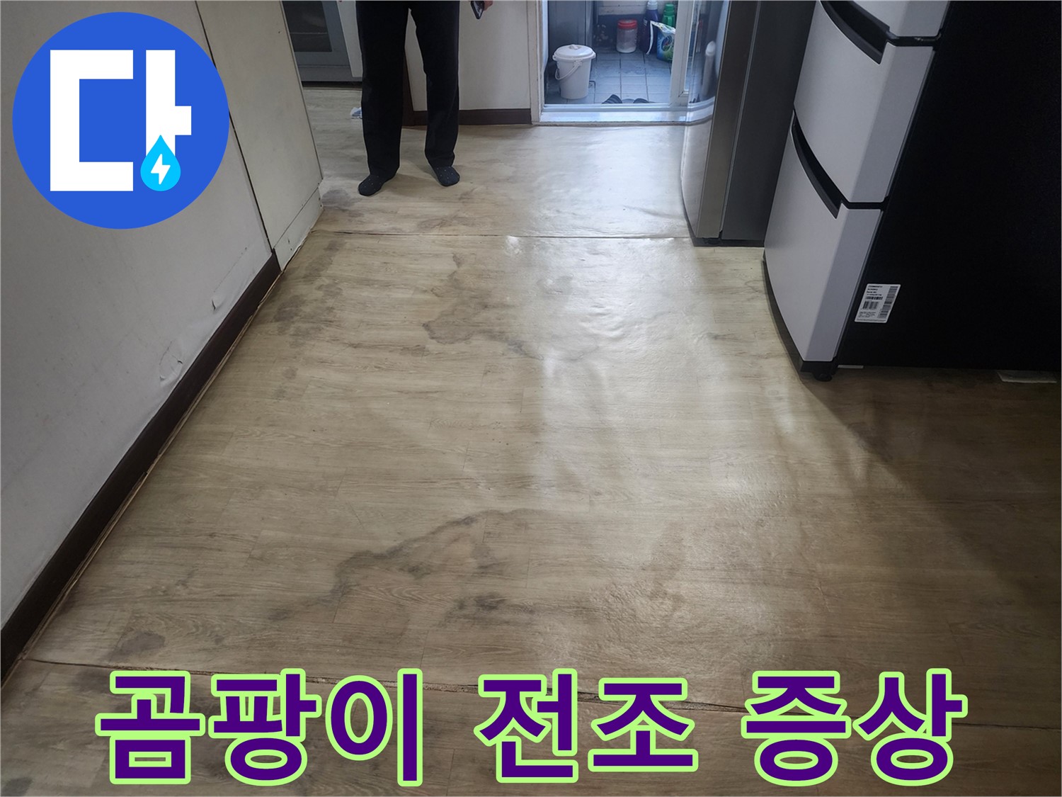 권선구 아파트 누수 - 장판 밑 물기, 곰팡이 발생 전조 증상 - 빠른 점검과 예방 중요