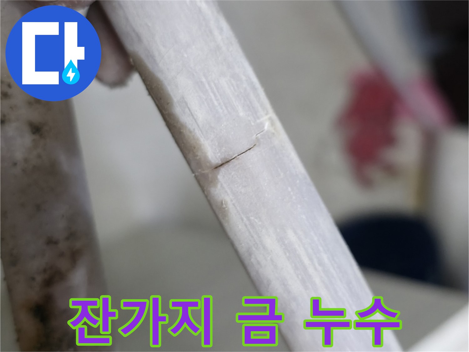 포천 빌라 - 잔가지처럼 뻗은 금에서 물이 뚝뚝 - 신속한 메움 작업