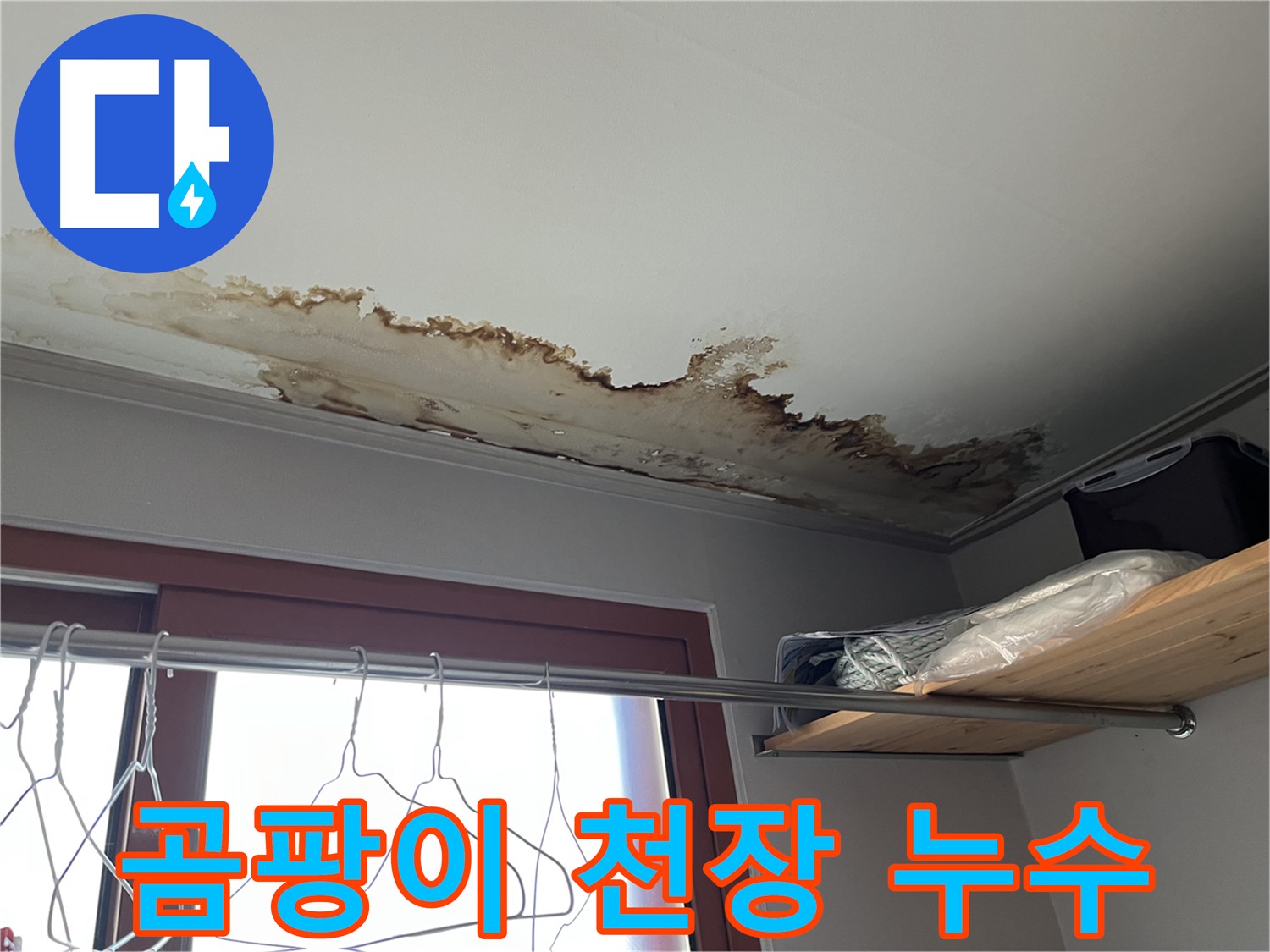 의정부 가능동 빌라 천장 곰팡이 - 누수로 인한 곰팡이 발생, 건강을 위협합니다.