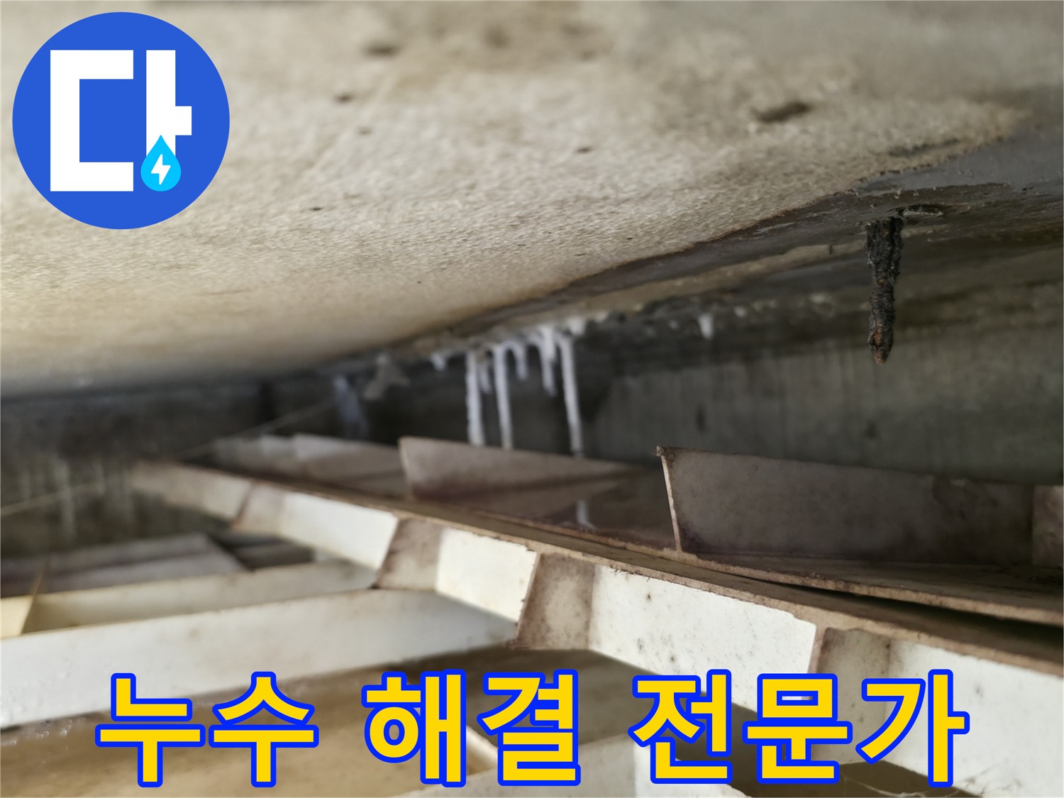 금천구 누수 전문가 - 독산동 현진아트빌 슬라브 누수 해결을 위해 최선을 다하겠습니다.