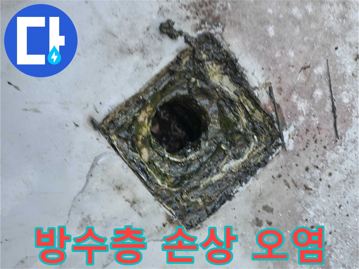 독산동 옥상 드레인 주변 방수층 손상 - 심각한 오염으로 인한 누수 발생