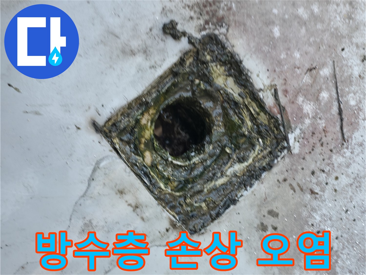 독산동 옥상 드레인 주변 방수층 손상 - 심한 오염으로 인한 누수