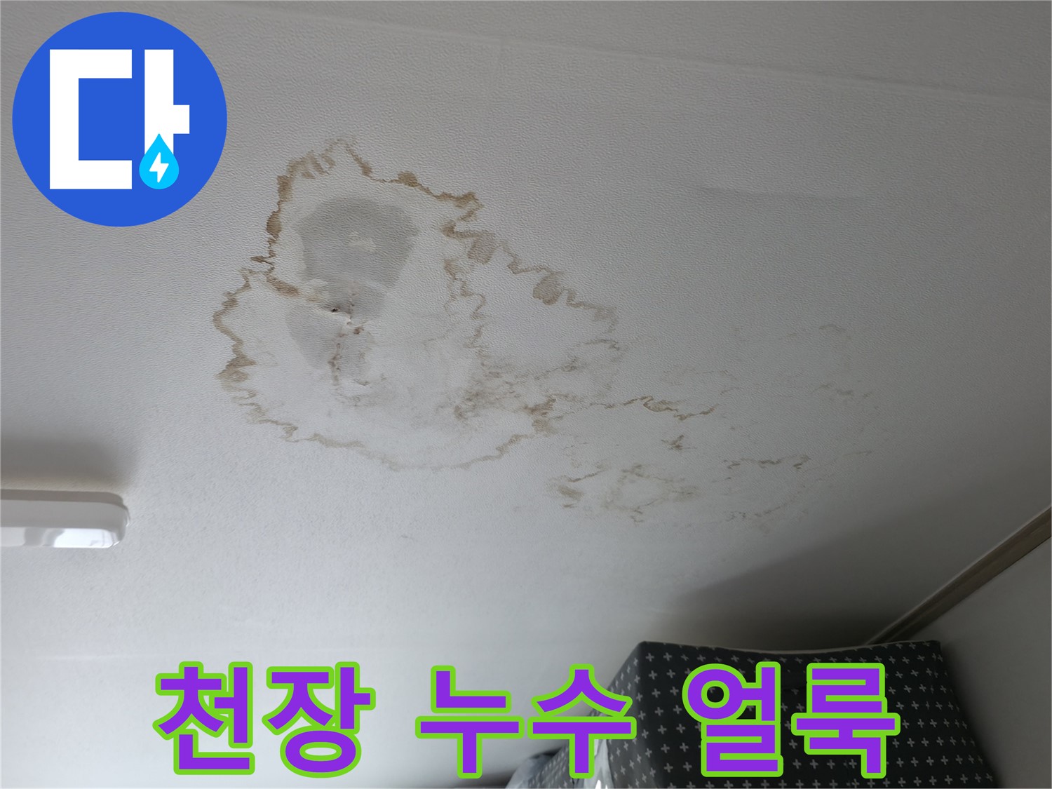 천장 누수 - 얼룩 - 건물 손상