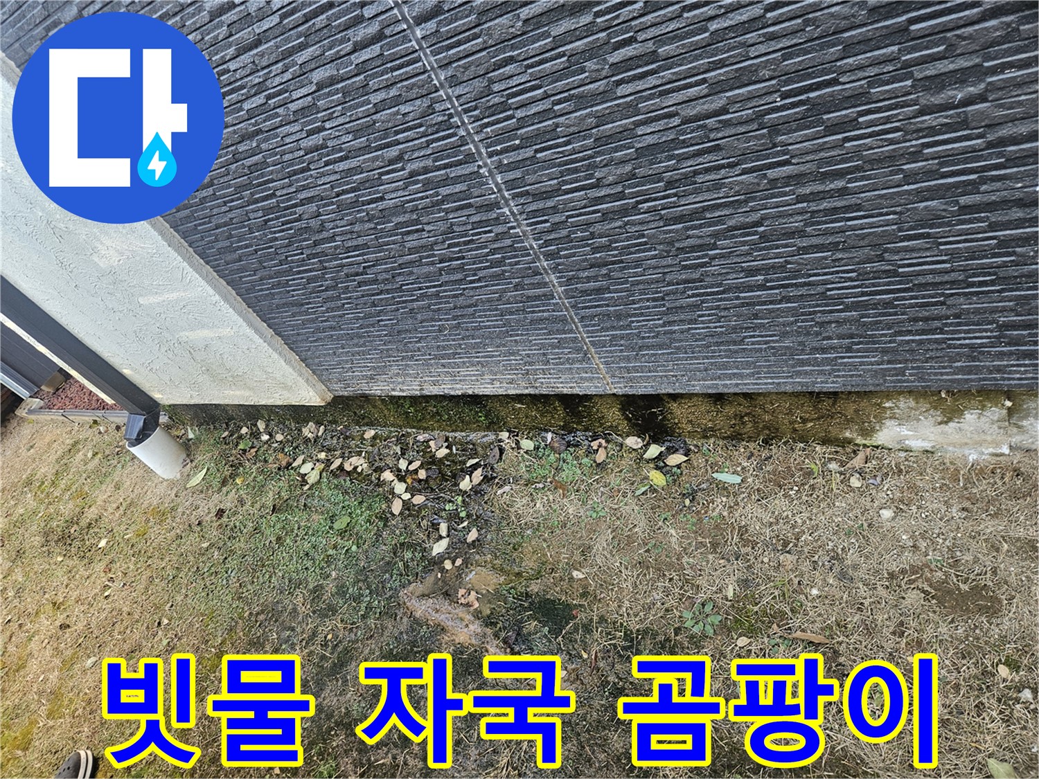 이천 마장 외벽 누수 가능성 - 빗물 자국과 곰팡이 - 꼼꼼한 점검 필요