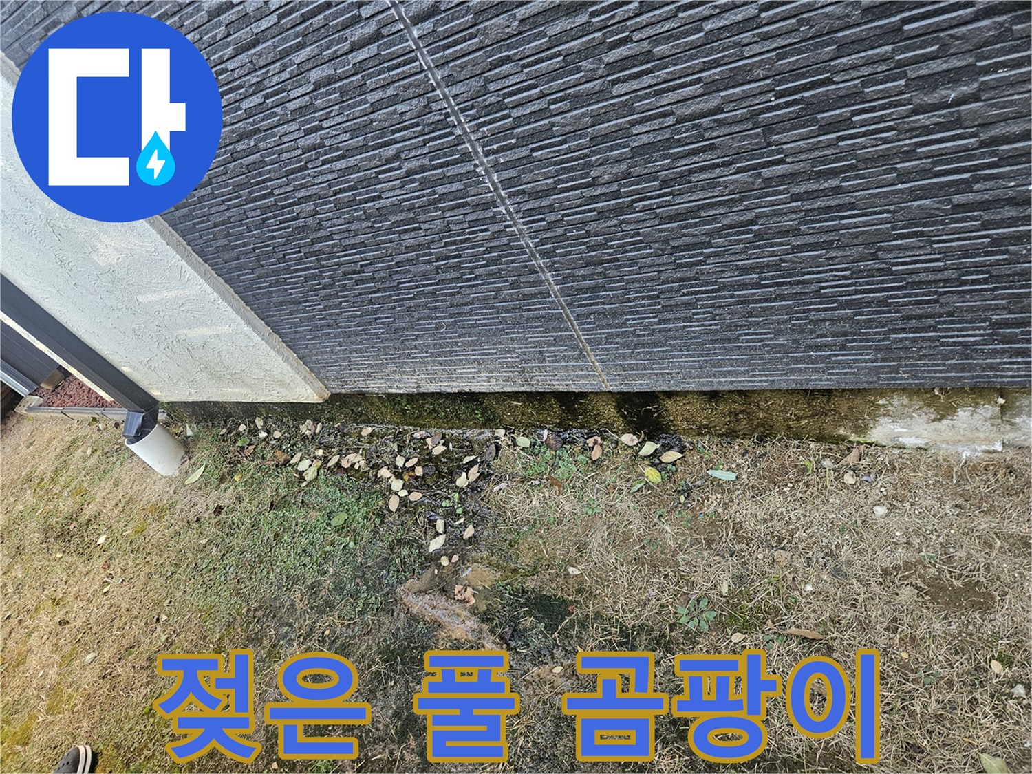 이천 마장 외벽 누수 가능성 - 젖은 풀과 곰팡이 - 습기 제거 중요