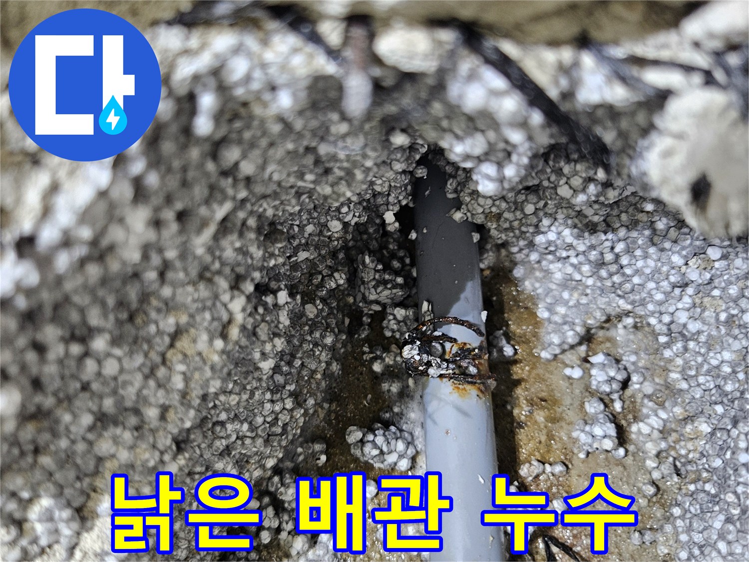 이천 아리역 낡은 배관에서 누수 발생 - 빠른 탐지로 해결