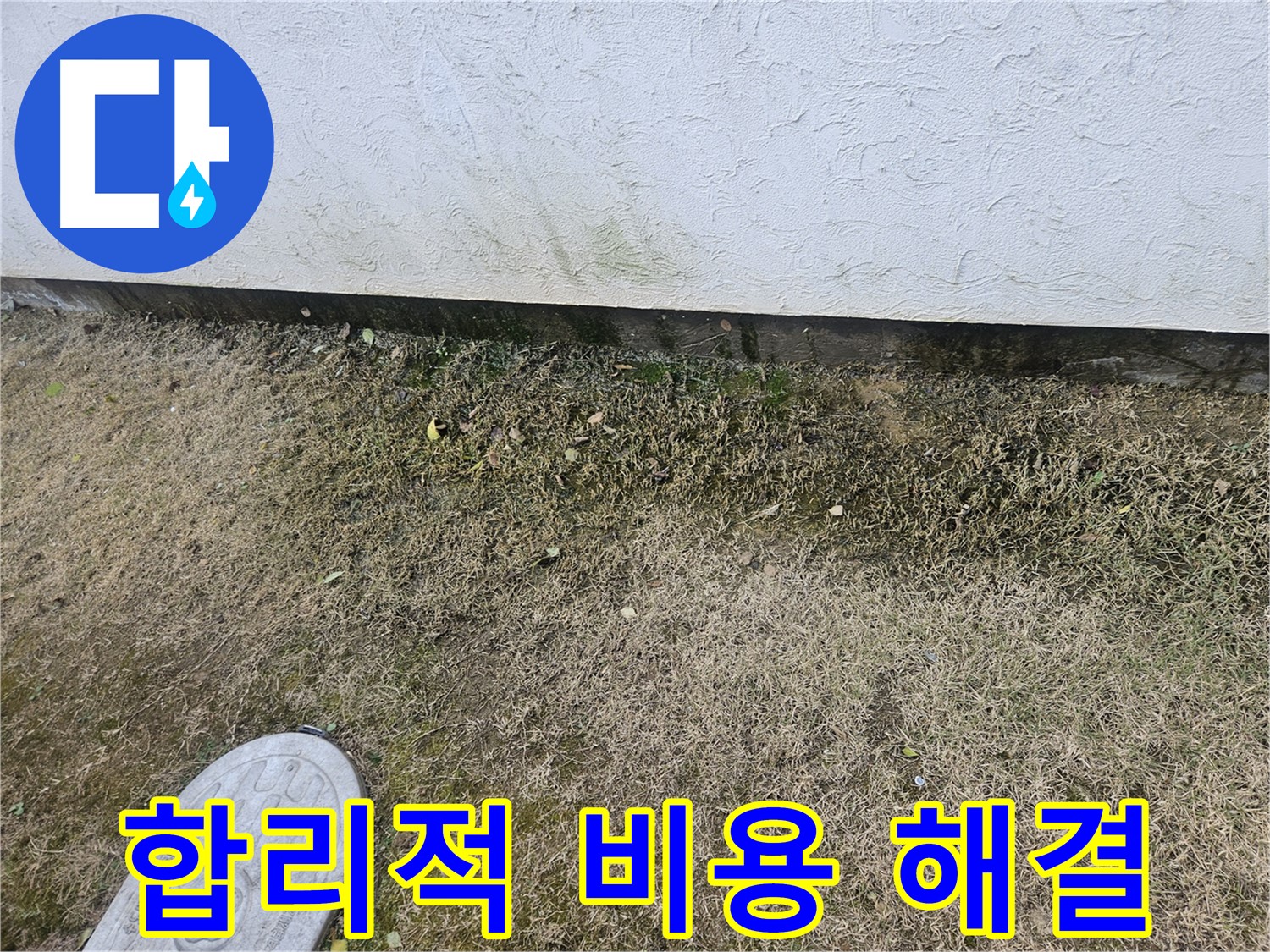 이천 아미동 누수 - 합리적인 비용으로 녹조 문제 해결